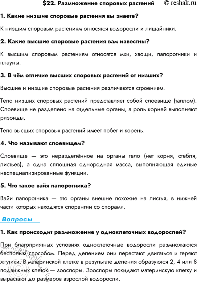 Изображение $22. Размножение споровых растений1. Какие низшие споровые растения вы знаете?К низшим споровым растениям относятся водоросли и лишайники.2. Какие высшие споровые...