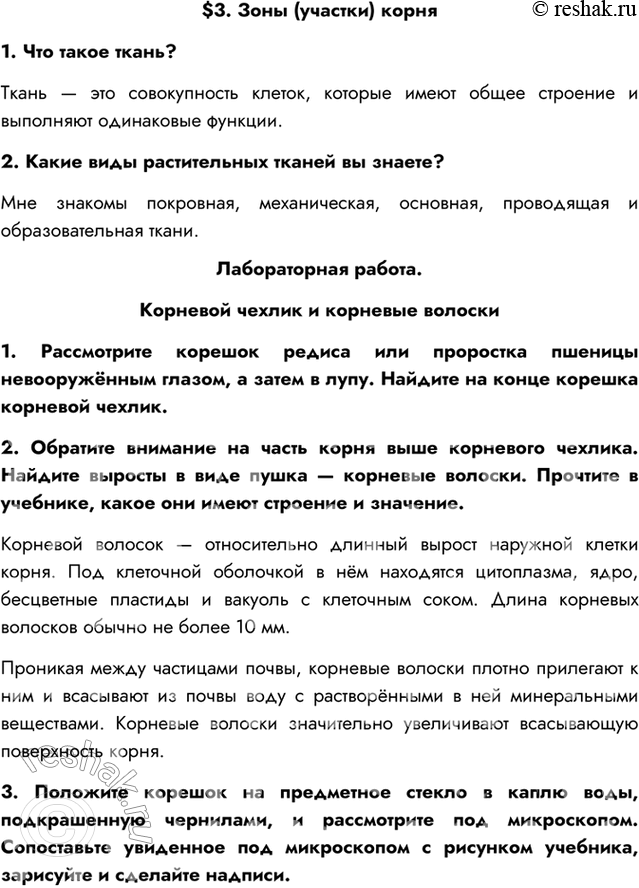 Изображение $3. Зоны (участки) корня1. Что такое ткань?Ткань — это совокупность клеток, которые имеют общее строение и выполняют одинаковые функции.2. Какие виды растительных...