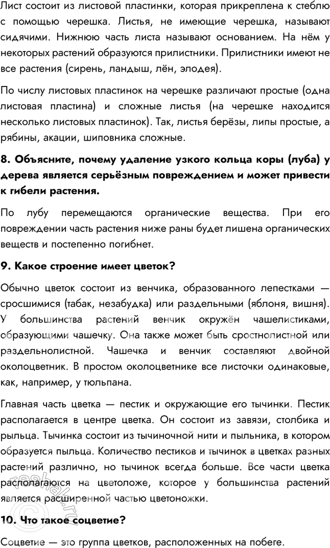Дополнительное изображение