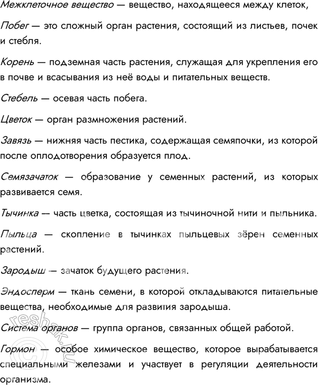 Дополнительное изображение