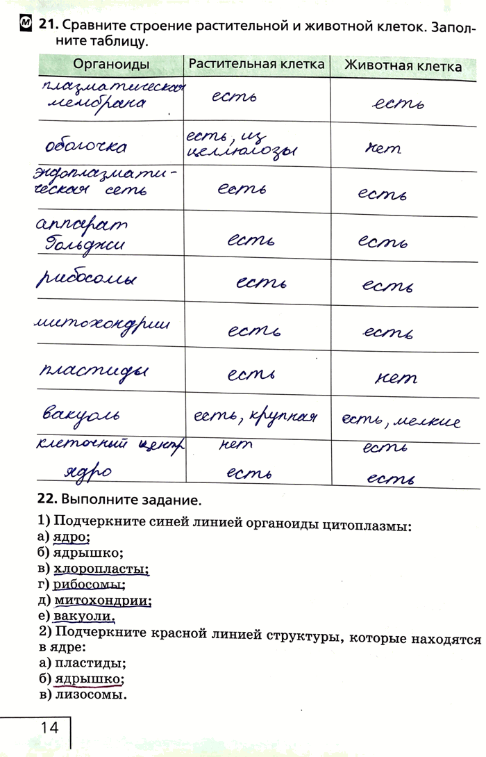 Изображение 21. Сравните строение растительной и животной клеток. Заполните таблицу.Органоиды	Растительная клетка	Животная клетка22. Выполните задание.1) Подчеркните синей...