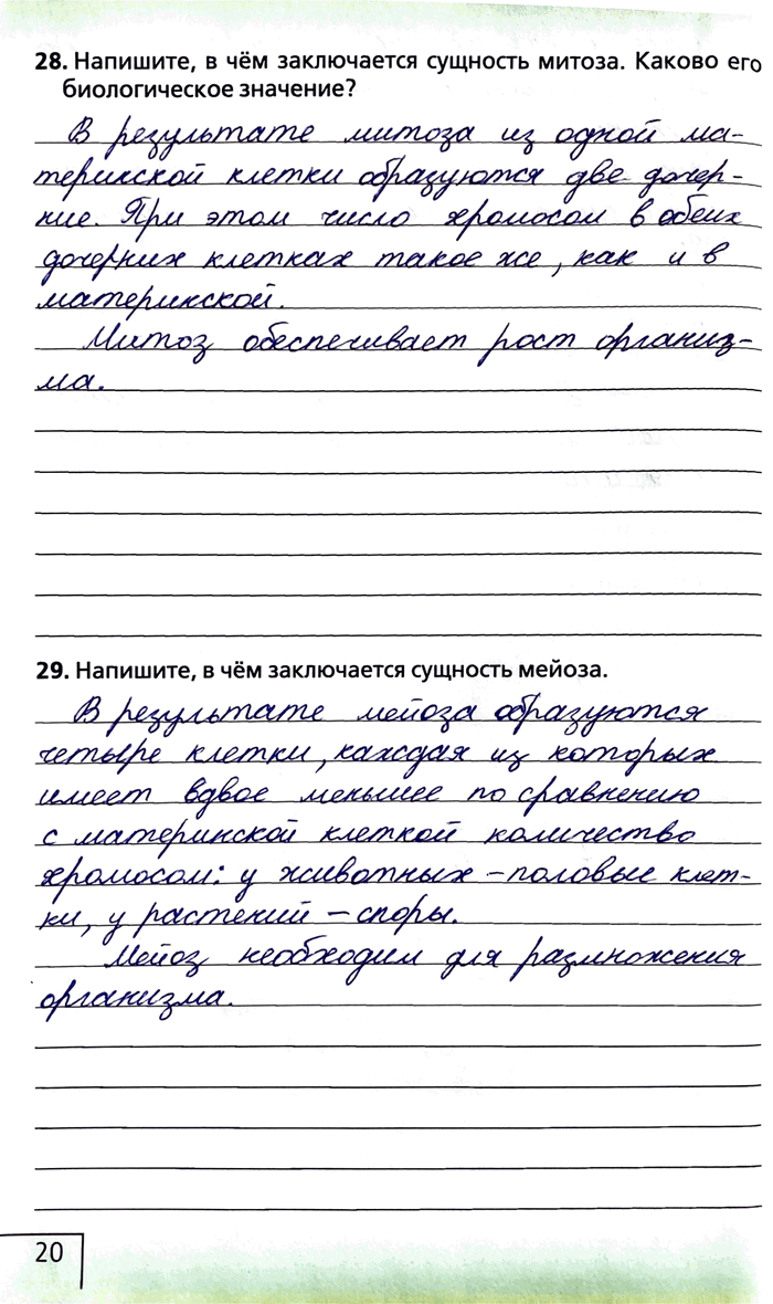 Изображение 28. Напишите, в чём заключается сущность митоза. Каково его биологическое значение?29. Напишите, в чём заключается сущность...