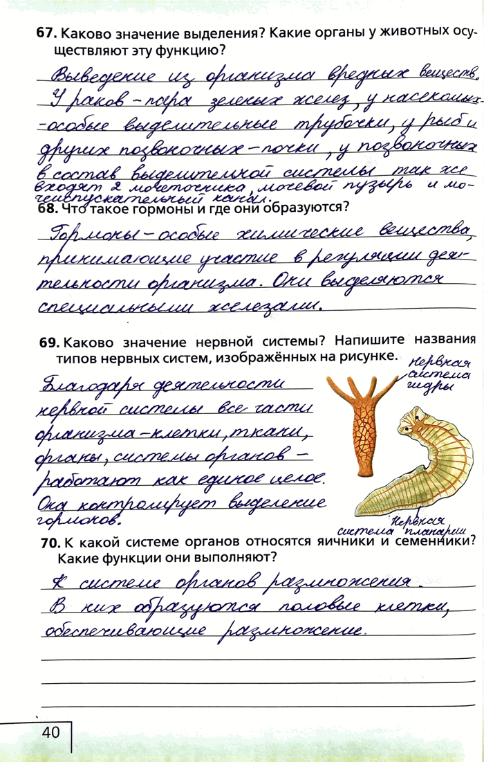 Изображение 67. Каково значение выделения? Какие органы у животных осуществляют эту функцию?58. Что такое гормоны и где они образуются?69. Каково значение нервной системы?...