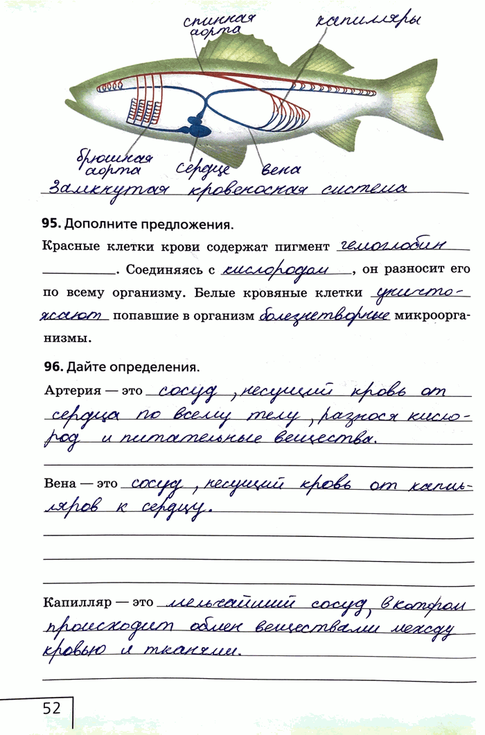 Изображение 95. Дополните предложения.Красные клетки крови содержат пигмент . Соединяясь с он разносит его по всему организму. Белые кровяные клетки  попавшие в организм...