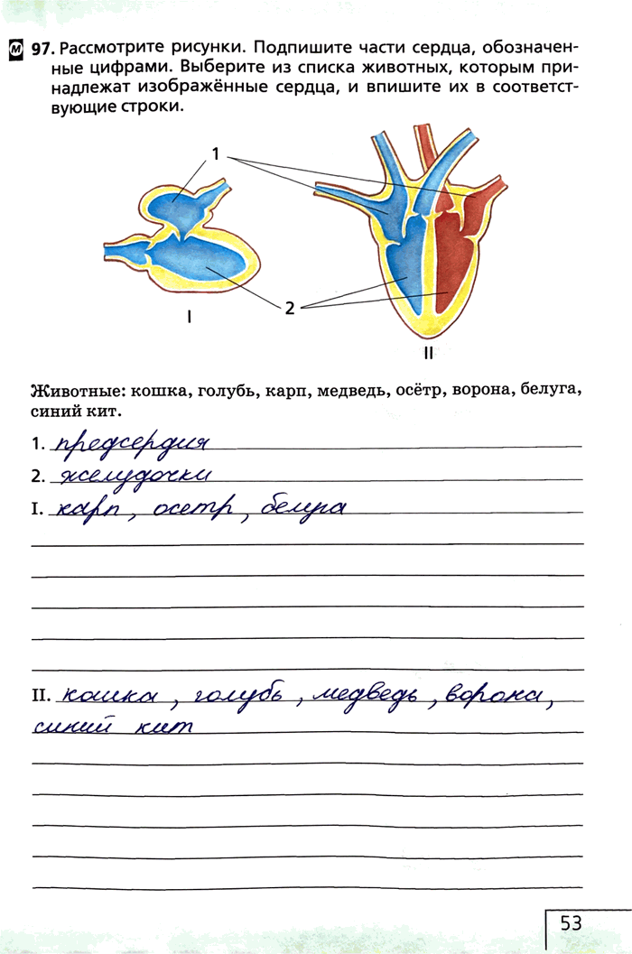 Изображение 97. Рассмотрите рисунки. Подпишите части сердца, обозначенные цифрами. Выберите из списка животных, которым принадлежат изображённые сердца, и впишите их в...