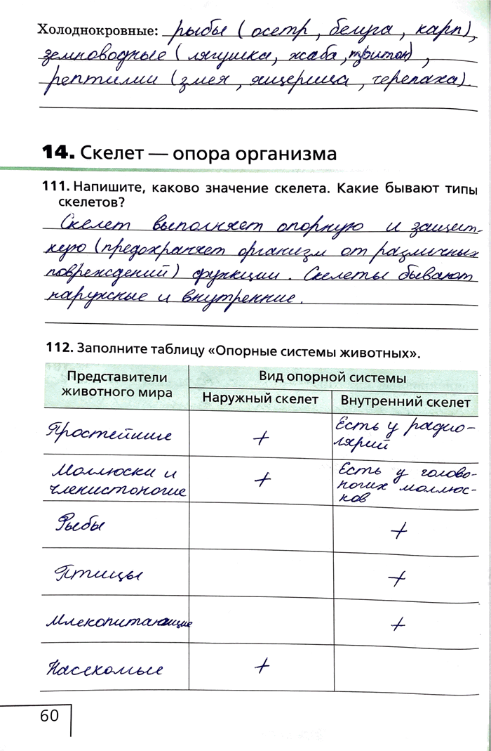 Изображение Холоднокровные:14. Скелет — опора организма111. Напишите, каково значение скелета. Какие бывают типы скелетов?112. Заполните таблицу «Опорные системы...