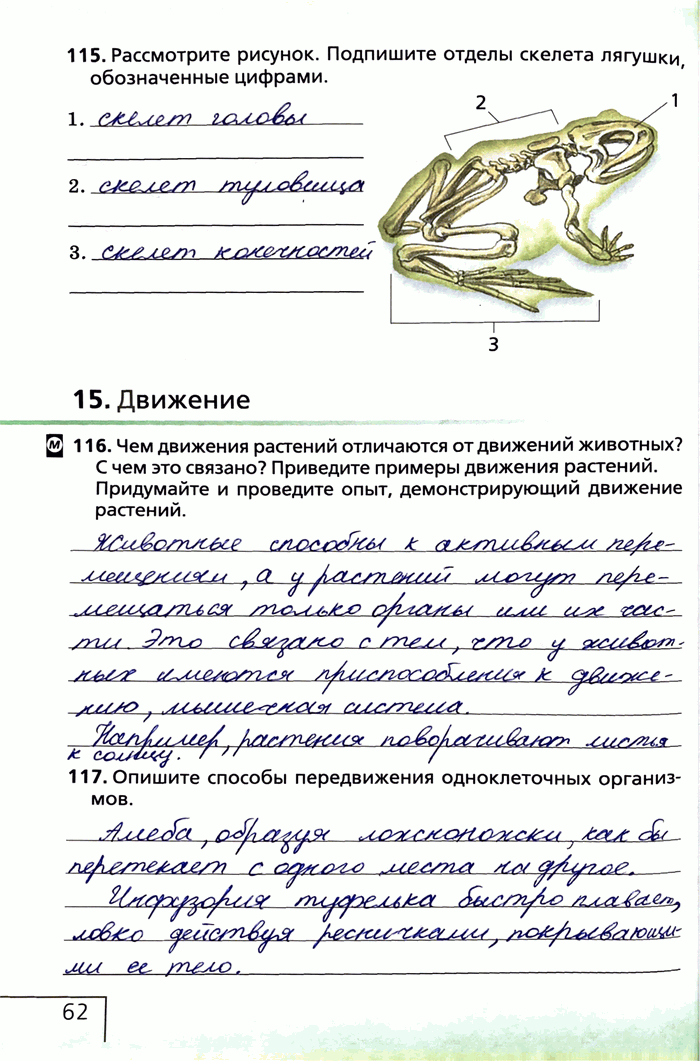 Изображение 115. Рассмотрите рисунок. Подпишите отделы скелета лягушки обозначенные цифрами.15. Движение116. Чем движения растений отличаются от движений животных? С чем это...