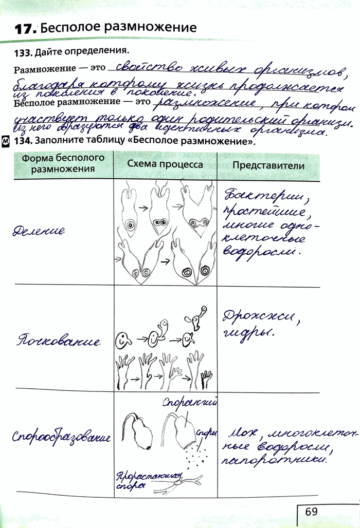 Изображение 17. Бесполое размножение133. Дайте определения.Размножение — этоБесполое размножение - это134. Заполните таблицу «Бесполое размножение».Форма бесполого...