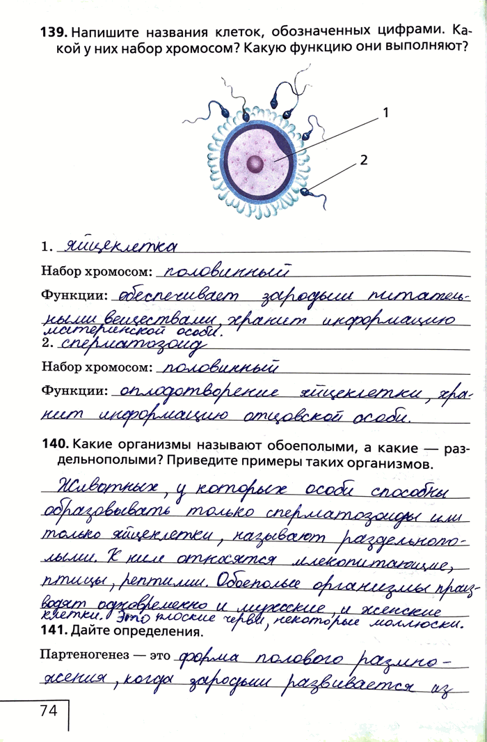 Изображение 139. Напишите названия клеток, обозначенных цифрами. Какой у них набор хромосом? Какую функцию они выполняют?Набор хромосом:Функции:140. Какие организмы называют...