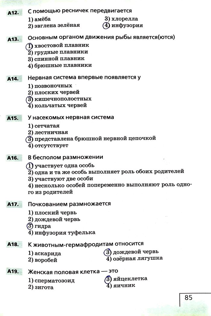 Изображение А12. С помощью ресничек передвигается1) амёба2) эвглена зелёная3)хлорелла 4) инфузорияА13. Основным органом движения рыбы является(ются)1) хвостовой...