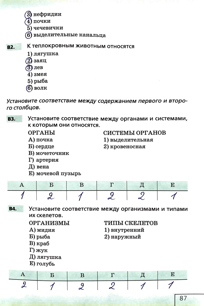 Изображение 3)нефридии 4)почки5) чечевичкиб) выделительные канальцав2. К теплокровным животным относятся 1) лягушка 2) заяц 3)лев4) змея5) рыба 6)...
