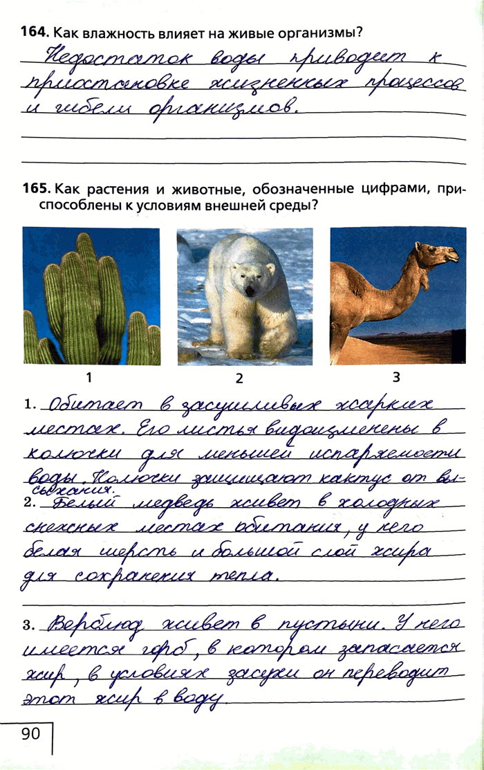 Изображение 164. Как влажность влияет на живые организмы?165. Как растения и животные, обозначенные цифрами, приспособлены к условиям внешней...