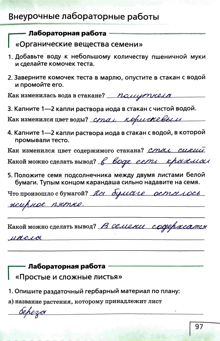 Изображение Внеурочные лабораторные работыЛабораторная работа«Органические вещества семени»1. Добавьте воду к небольшому количеству пшеничной муки и сделайте комочек...